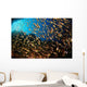Schooling Fish Spice Islands Wall Decal Design 2