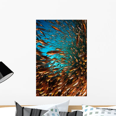 Schooling Fish Spice Islands Wall Decal Design 1 shown on a wall