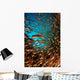 Schooling Fish Spice Islands Wall Decal Design 1