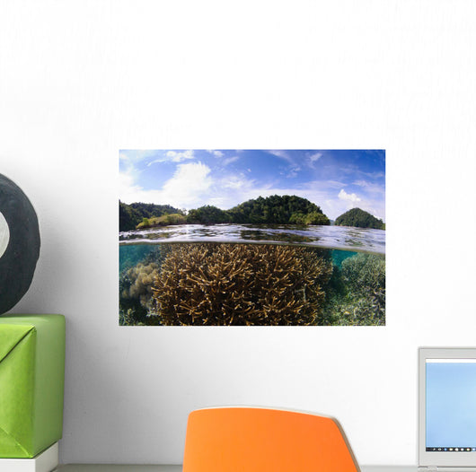 Split Photo Branching Staghorn Wall Decal