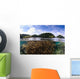 Split Photo Branching Staghorn Wall Decal
