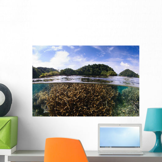 Split Photo Branching Staghorn Wall Decal
