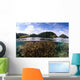 Split Photo Branching Staghorn Wall Decal