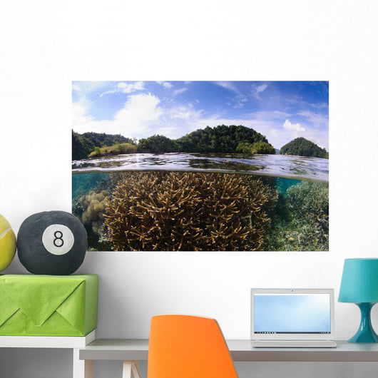 Split Photo Branching Staghorn Wall Decal