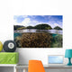 Split Photo Branching Staghorn Wall Decal