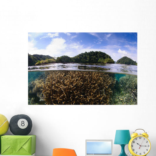 Split Photo Branching Staghorn Wall Decal