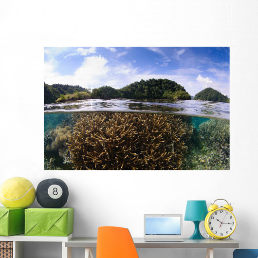 Split Photo Branching Staghorn Wall Decal