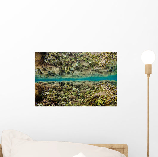 Reflection Hard Coral Garden Wall Decal