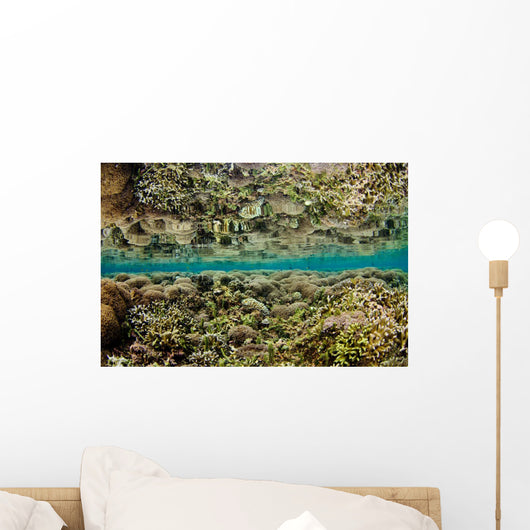 Reflection Hard Coral Garden Wall Decal