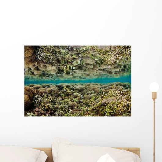 Reflection Hard Coral Garden Wall Decal