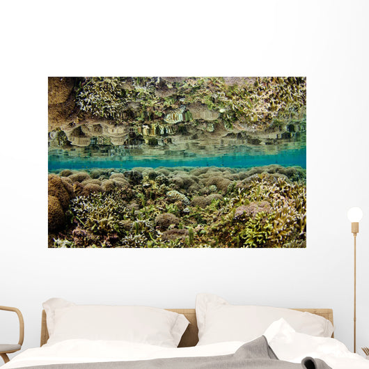 Reflection Hard Coral Garden Wall Decal
