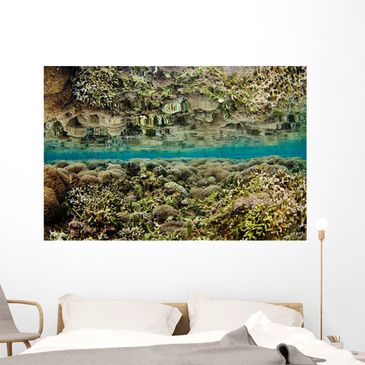 Reflection Hard Coral Garden Wall Decal