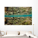 Reflection Hard Coral Garden Wall Decal