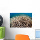 Hard Coral Reef Maluku Wall Decal