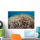 Hard Coral Reef Maluku Wall Decal