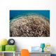 Hard Coral Reef Maluku Wall Decal