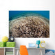 Hard Coral Reef Maluku Wall Decal