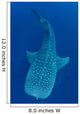 Single Whale Shark Swimming Wall Decal Design 7