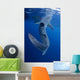 Whale Shark Feeds Surface Wall Decal Design 9