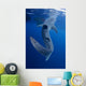 Whale Shark Feeds Surface Wall Decal Design 9