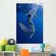 Whale Shark Feeds Surface Wall Decal Design 9