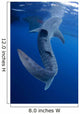 Whale Shark Feeds Surface Wall Decal Design 9