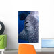 Whale Shark Feeds Surface Wall Decal Design 8