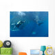 Diver Interacts with Whale Wall Decal Design 4