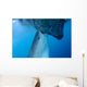 Whale Shark Sucks Net Wall Decal Design 4