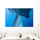 Whale Shark Sucks Net Wall Decal Design 4