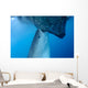 Whale Shark Sucks Net Wall Decal Design 4