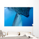Whale Shark Sucks Net Wall Decal Design 4