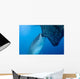 Whale Shark Sucks Net Wall Decal Design 3