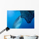 Whale Shark Sucks Net Wall Decal Design 3