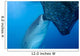 Whale Shark Sucks Net Wall Decal Design 3