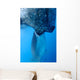 Whale Shark Sucks Net Wall Decal Design 2