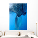 Whale Shark Sucks Net Wall Decal Design 2