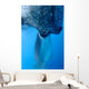 Whale Shark Sucks Net Wall Decal Design 2