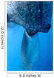 Whale Shark Sucks Net Wall Decal Design 2