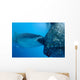 Whale Shark Sucks Net Wall Decal Design 1