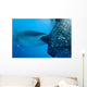 Whale Shark Sucks Net Wall Decal Design 1