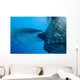Whale Shark Sucks Net Wall Decal Design 1
