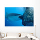 Whale Shark Sucks Net Wall Decal Design 1