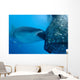 Whale Shark Sucks Net Wall Decal Design 1