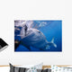 Whale Shark Feeds Surface Wall Decal Design 7