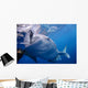 Whale Shark Feeds Surface Wall Decal Design 7