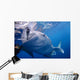 Whale Shark Feeds Surface Wall Decal Design 7
