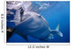 Whale Shark Feeds Surface Wall Decal Design 7