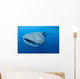 Single Whale Shark Swimming Wall Decal Design 6