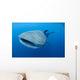 Single Whale Shark Swimming Wall Decal Design 6